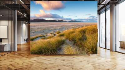 Sunrise at Luskentyre Beach Wall mural