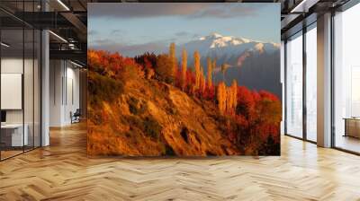 This is the Alamut Valley in Iran.  Best visited in late October for the spectacular autumn colours Wall mural