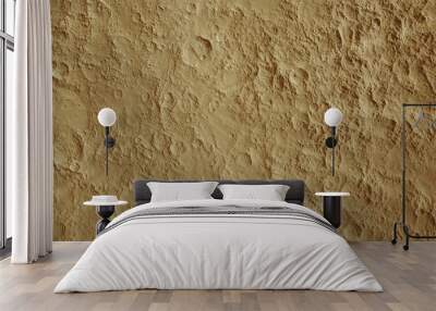 Mars surface Wall mural