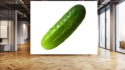 One whole small cucumber isolated. Cutout organic farm food. Cosmetic ingredient without background. Beautiful fresh vegetable for drinks packaging design. Body detox. Summer harvest festival. Wall mural