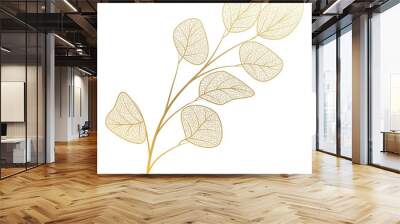 Branch with leaves eucalyptus. Vector illustration. Wall mural