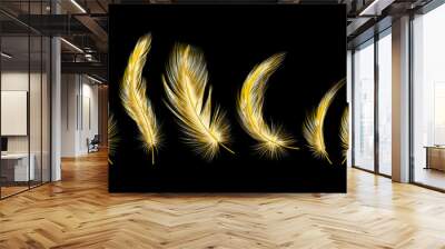 Set of gold  feather. Vector illustration. Wall mural