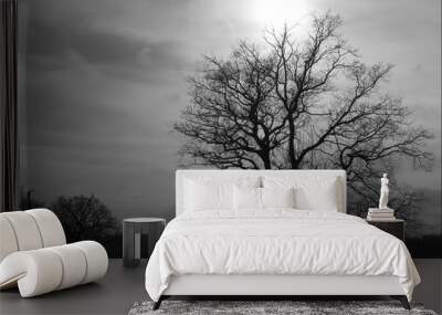 isolated tree in b&w Wall mural