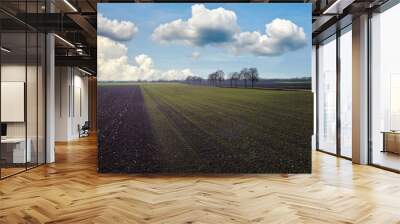 field and sky Wall mural