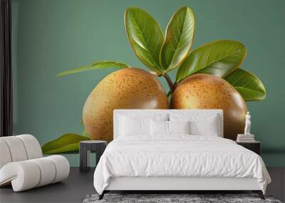 sapodilla fruit or Manilkara zapota, exotic tropical fruit, isolated on green background Wall mural