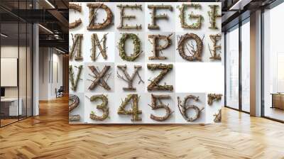 set of alphabet made from tree branches isolated on white Wall mural