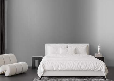 Metallic silver gradient. A banner with a metallic gradient texture. Vector EPS 10. Wall mural