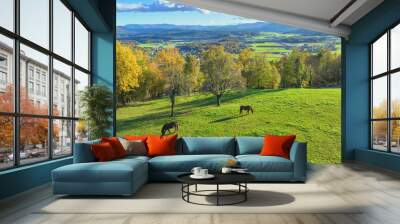 AERIAL: Picturesque view of hilly countryside and meadow with two grazing horses. Stallion and mare graze peacefully on a sunny pasture between colourful autumn trees with scenic view over the valley. Wall mural