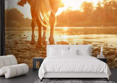 LOW ANGLE: Unrecognizable person riding a horse along the riverbank at sunset. Wall mural