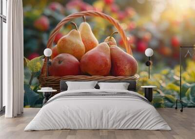 ripe pears in a basket against the background of a garden, harvest, gardening, autumn Wall mural