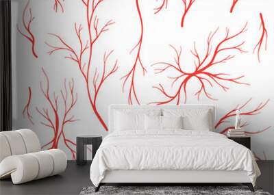 human blood veins and arteries vector set Wall mural