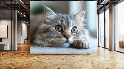 A fluffy grey cat with bright blue eyes looks curiously at something off-camera. Wall mural