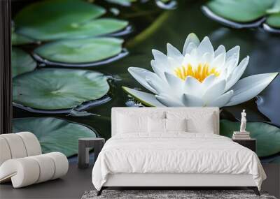 A single white water lily with a yellow center blooms in a pond surrounded by lily pads. Wall mural