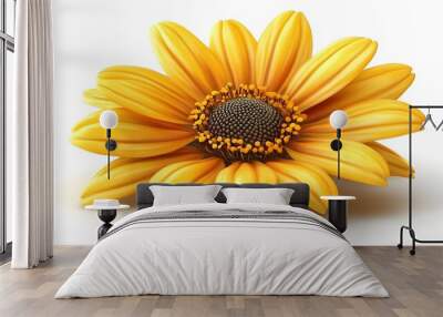 A single yellow daisy flower with a dark brown center, isolated on a white background. Wall mural