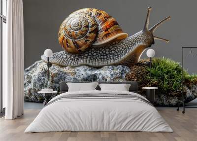 A snail with a brown and yellow shell crawls on a moss-covered rock. Wall mural