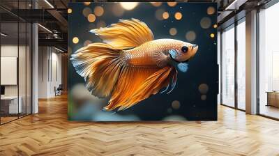 A vibrant orange and white betta fish with flowing fins swims against a dark background with bokeh lights. Wall mural