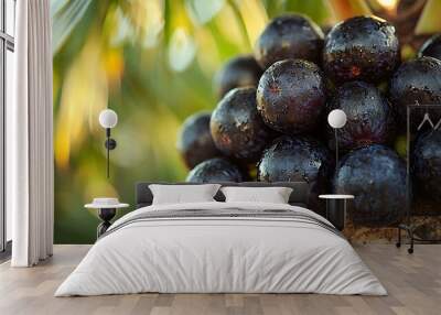 Close-up of a cluster of dark purple fruits on a tree branch, glistening with dew drops. Wall mural