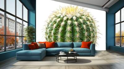 Close-up of a green, round cactus with sharp spines and yellow blooms. Wall mural