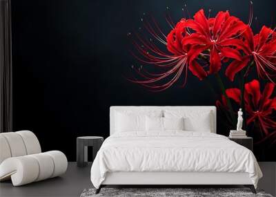 Close-up of vibrant red spider lily flowers against a dark background. Wall mural