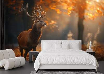 Majestic red deer stag with antlers standing in an autumn forest with golden leaves and sunlight shining through the trees. Wall mural