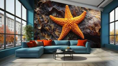 Orange Starfish On Wet Rock. Wall mural