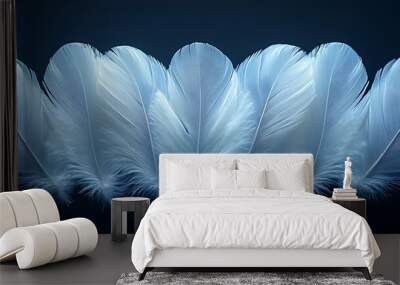 Six white feathers aligned in a row against a dark blue background. Wall mural