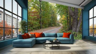 path in the autumn woods Wall mural