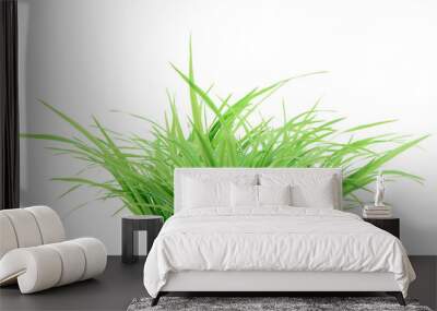 Bunch of green grass closeup isolated on white Wall mural