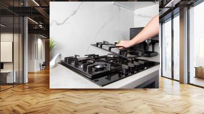 Balanced cast iron grate on gas hob for easy cooking with all types of cookware. Copy space for text Wall mural