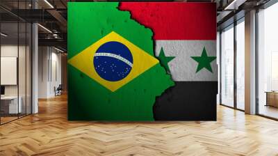 Relations between brazil and syria Wall mural