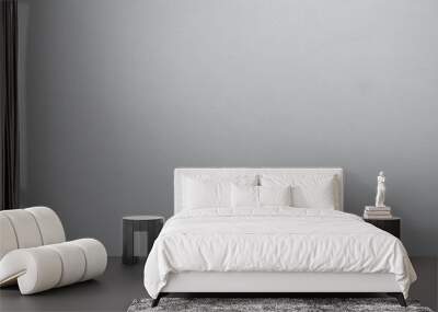 White gradient wall texture background Wall mural