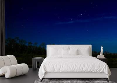 Starry night sky by a lake with trees in the background. Wall mural