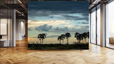 Landscape with palm trees at sunset. A thunderstorm is building up above the palm trees at sunset in the area of waterhole Two Palms in Etosha National Park in Namibia Wall mural