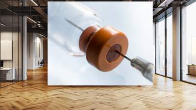 Syringe needle protrudes through the rubber stopper of a diagonally photographed vaccine vial with orange-brown cap. Focus on the rubber stopper, shallow depth of field Wall mural