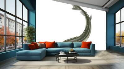 Sturgeon fish vector Wall mural