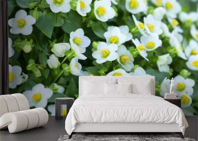 Blossoming persian violet, Exacum affine Wall mural