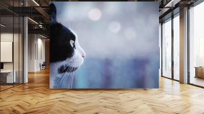 profile portrait of a cat against a blurred background Wall mural