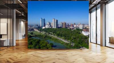 Milwaukee Skyline June 27, 2019 Wall mural