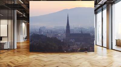 Linz panorama at sunrise Wall mural