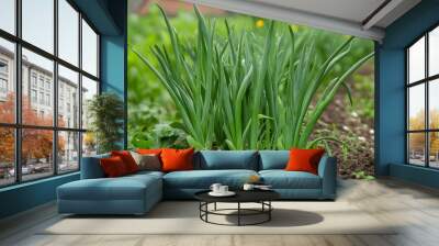 Green Onion Plants in Garden Wall mural