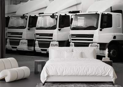 lorries parked up outside a company's car parking area ready to deliver goods to customers stock photo Wall mural