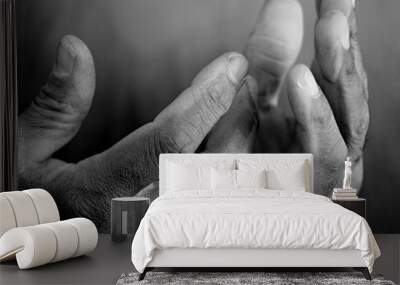 people praying to God with hands together stock photo Wall mural