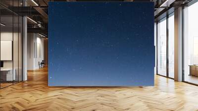 Starry night sky above a dirt road across the desert near Uspallata, Mendoza, Argentina. Wall mural