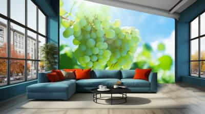 Bunch of green grape on tree. Generative AI technology. Wall mural