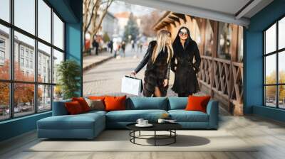 two stylish and luxurious girls walking in the autumn city with shopping bags Wall mural