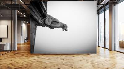 A gargoyle in the fog, guarding the tower in Dijon, France Wall mural