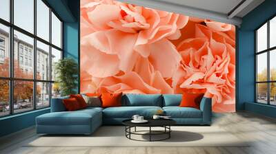 Pink petals blossom flowers beautiful  Wall mural