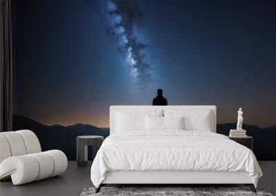 A starry night sky with a silhouette of a person gazin Wall mural