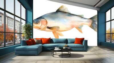 Watercolor Illustration of a Fish Wall mural