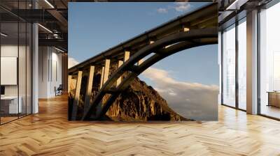 bridge over the river Wall mural